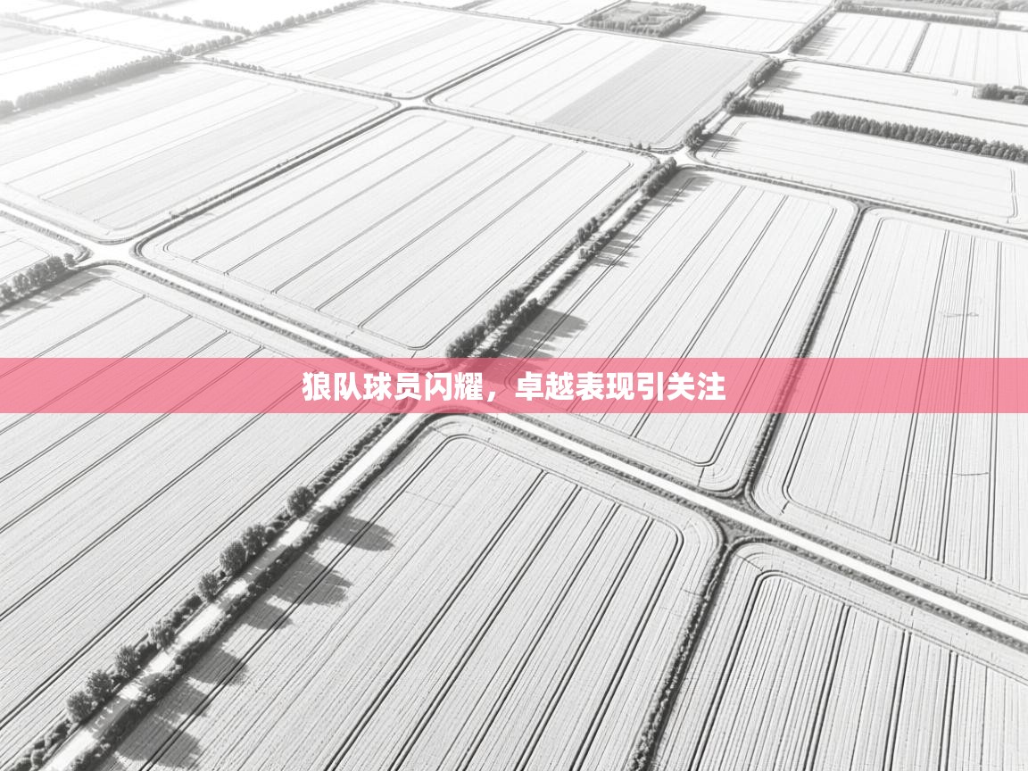 狼队球员闪耀，卓越表现引关注