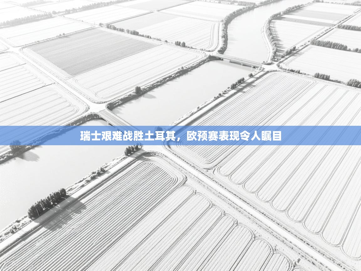 瑞士艰难战胜土耳其，欧预赛表现令人瞩目