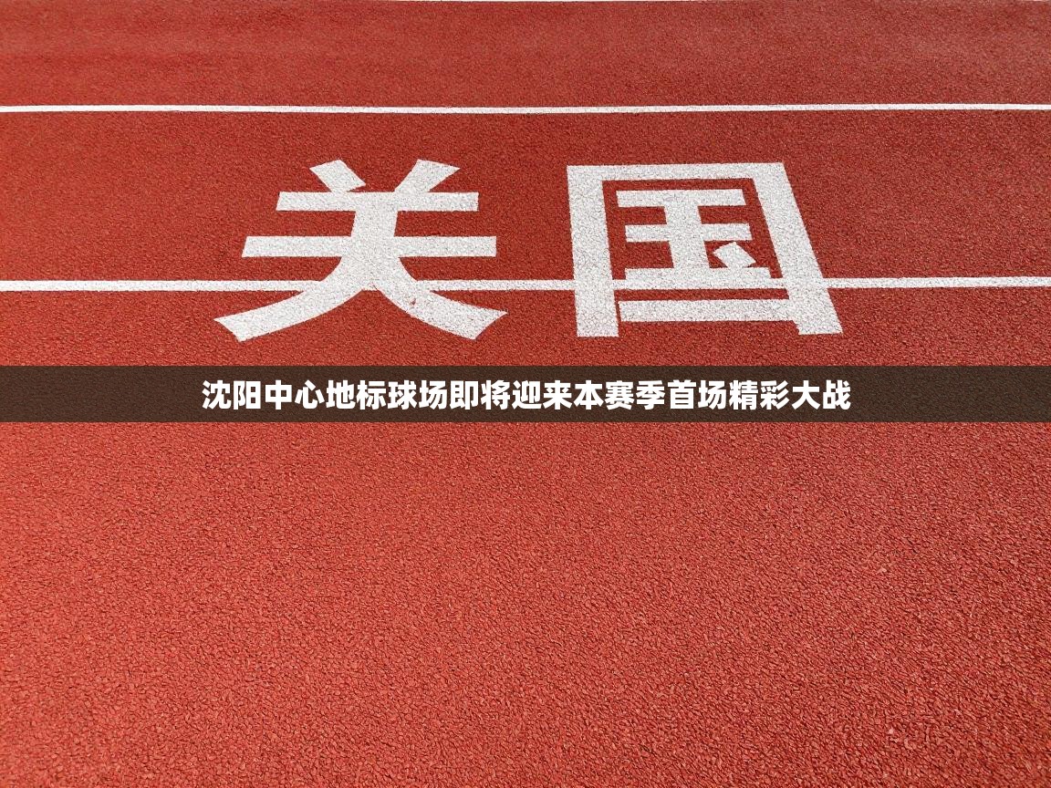 沈阳中心地标球场即将迎来本赛季首场精彩大战 第2张