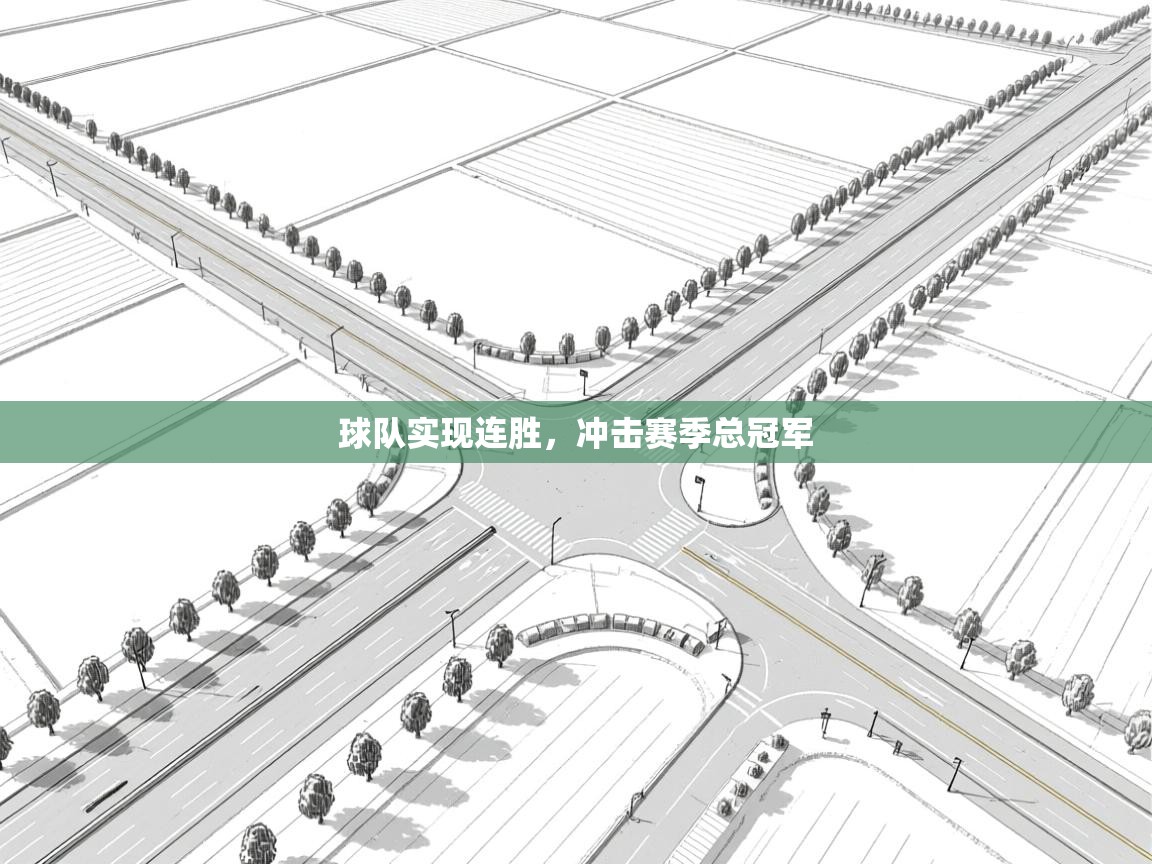 球队实现连胜，冲击赛季总冠军  第2张