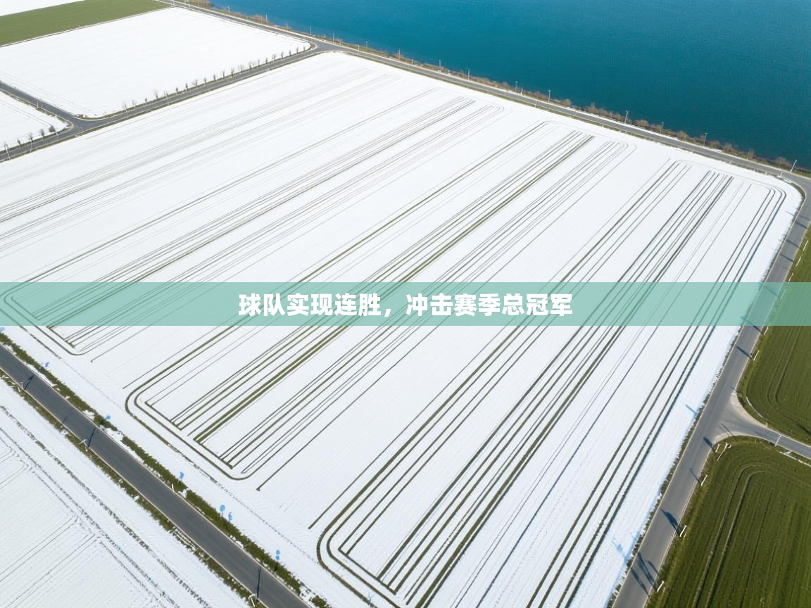 球队实现连胜，冲击赛季总冠军  第1张