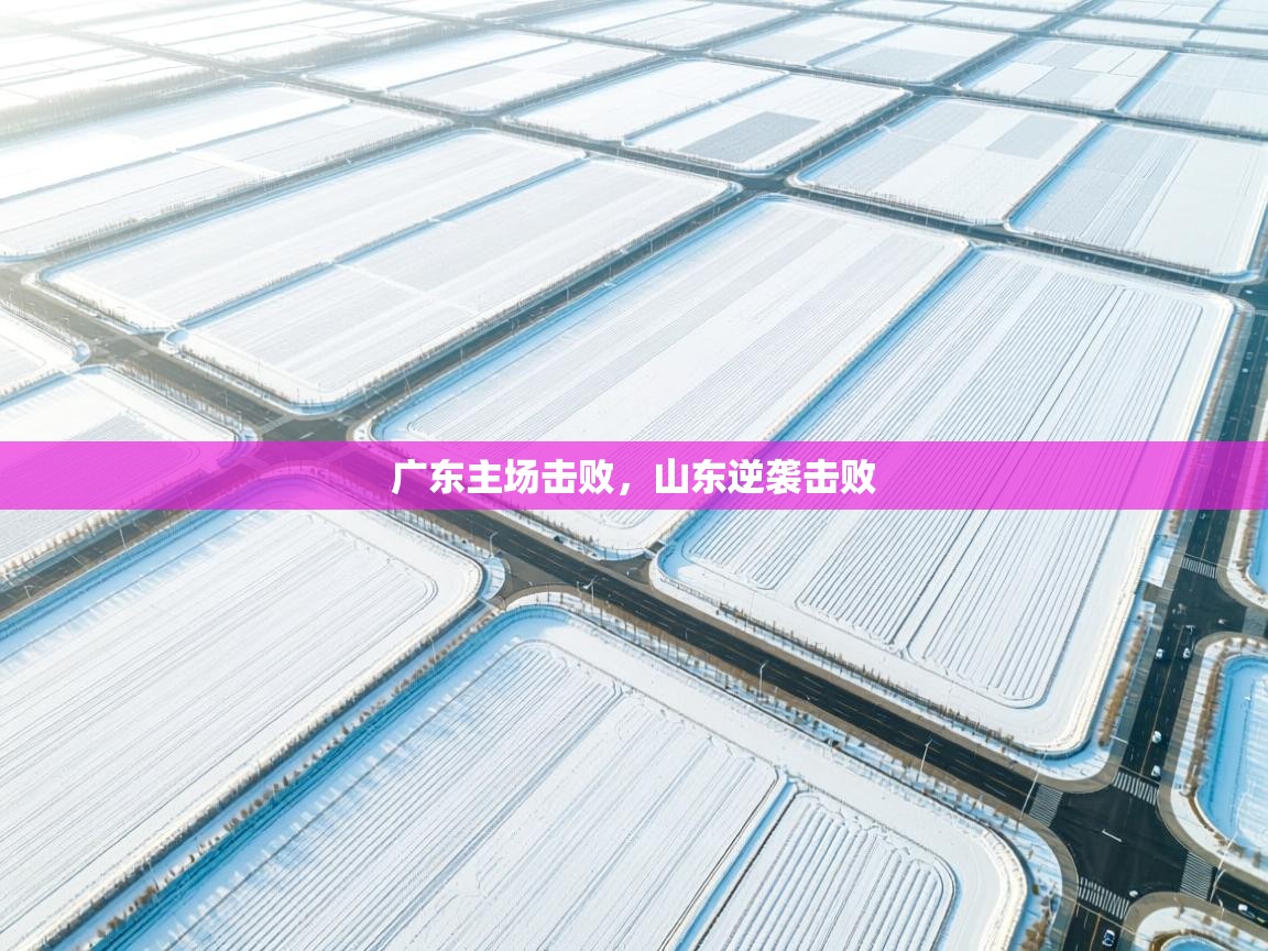 广东主场击败，山东逆袭击败