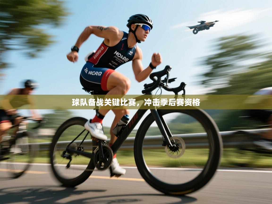 球队备战关键比赛，冲击季后赛资格